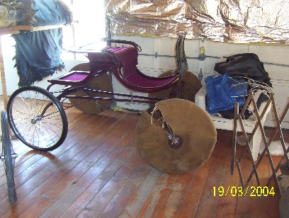 Horse Viceory
